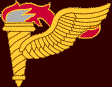 The 407th Pathfinders (Recon Squadron)